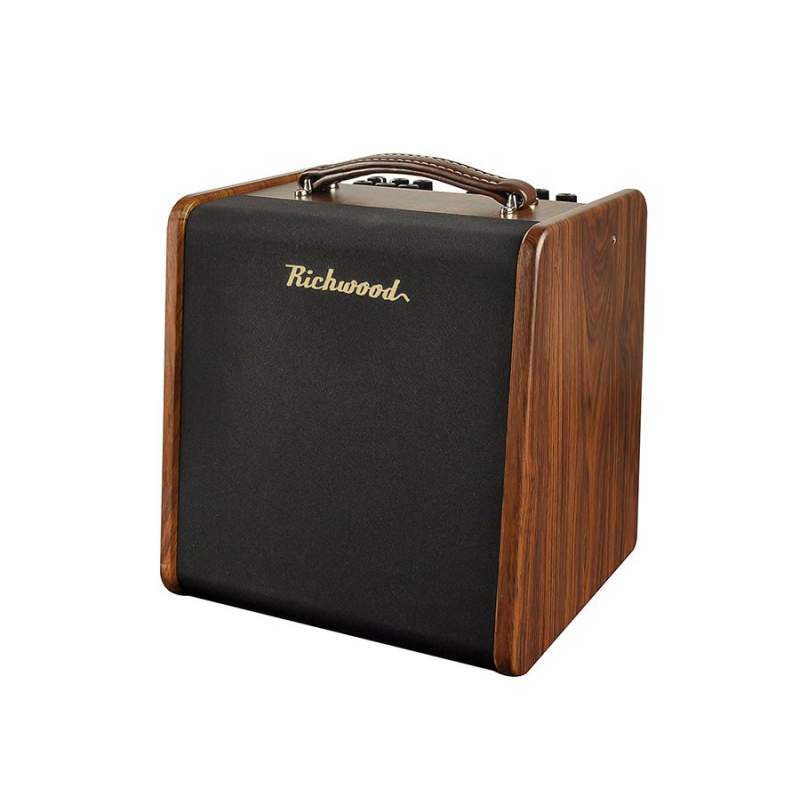 Amplifier kombo Richwood RAC-50 - 1