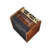 Amplifier kombo Richwood RAC-50 - 2