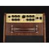 Amplifier kombo Richwood RAC-50 - 3