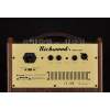 Amplifier kombo Richwood RAC-50 - 5
