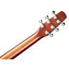 Elektroakustická gitara SEAGULL Entourage Autumn Burst CW QIT - 4