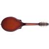 Mandolína SEAGULL S8 Mandolin Burnt Umber - 2