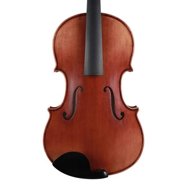 Viola 15.5