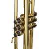 Bb trúbka Cascha Trumpet Fox Beginner Set - 5