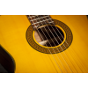 Elektroakustická klasická gitara 4/4 Takamine GC1CE-NAT - 3