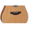 Elektroakustická gitara Takamine GD20CE-NS - 3