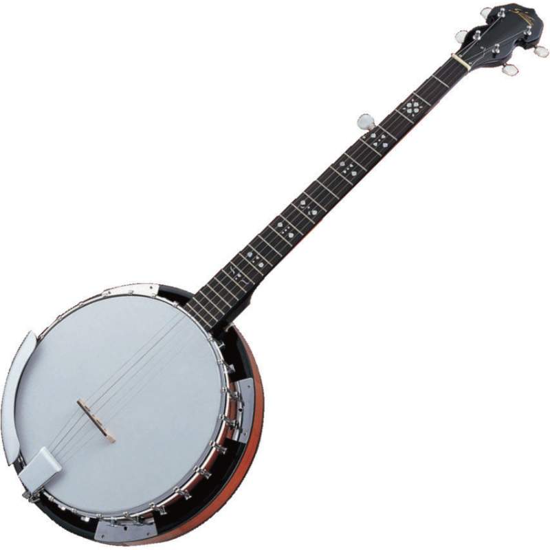 5-strunové banjo Pasadena 01BJ001 - 1