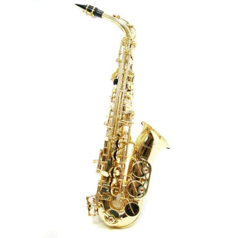 Altový saxofón Victory 6430L - 1