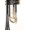 Bb Trúbka Roy Benson TR-101K - 5