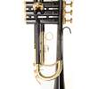 Bb Trúbka Roy Benson TR-101K - 4