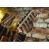 Elektrická gitara Michael Kelly 60 S1 Custom Collection Black Wash - 4