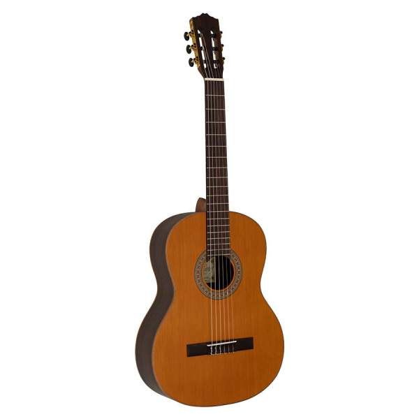 Klasická gitara 4/4 Salvador Cortez Iberia Rosa C