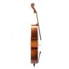 Violončelo 4/4 Rudolph Étude RC-1544-A - 4