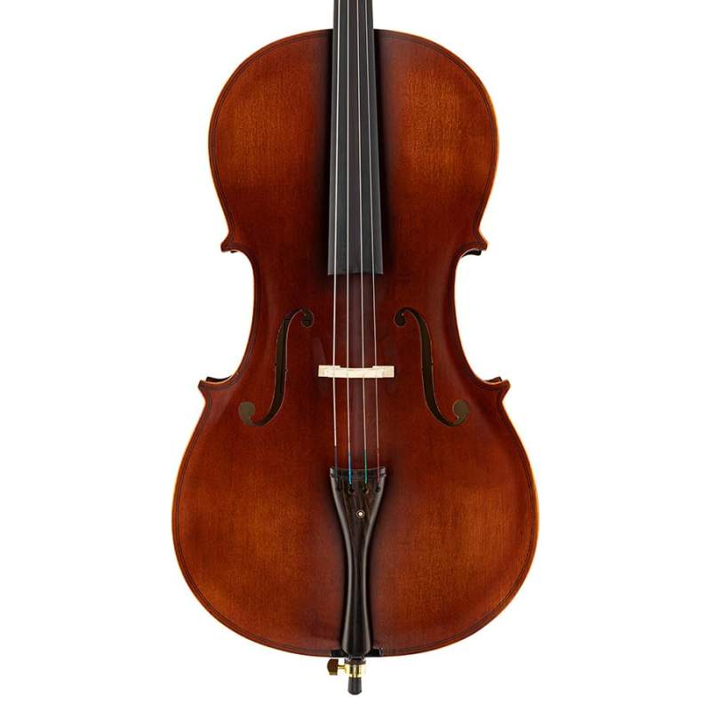 Violončelo 4/4 Leonardo Elementary LC-1344 - 1