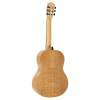 Klasická gitara 4/4 Salvador Cortez Iberia Jada S - 2