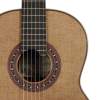 Klasická gitara 4/4 Salvador Cortez All Solid Performer Suite C - 5