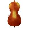 Violončelo 4/4 Rudolph Conservatoire RC-2044-EU - 2