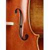 Violončelo 4/4 Rudolph Conservatoire RC-2044-EU - 5