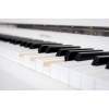 Digitálne piano Medeli Forte UP605/WH - 7