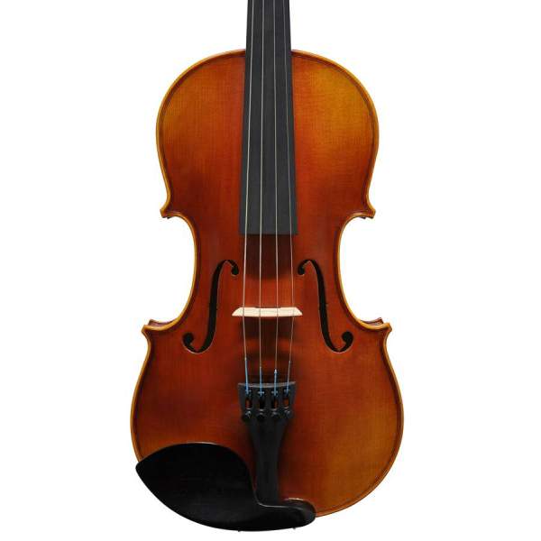 Viola 14