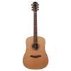 Akustická gitara dreadnought Mayson Luthier D1/C* - 3