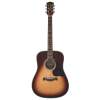Akustická gitara dreadnought Richwood Master D-40-SB - 3