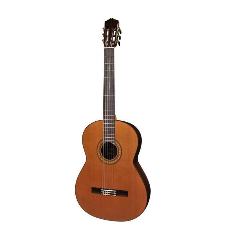 6-strunová basgitara Salvador Cortez Solid Top Concert CC-60-BA - 1