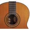 6-strunová basgitara Salvador Cortez Solid Top Concert CC-60-BA - 3