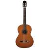 6-strunová basgitara Salvador Cortez Solid Top Concert CC-60-BA - 4