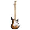 Elektrická gitara Santiago Standard Richwood Master REG-320-2SB - 2