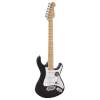 Elektrická gitara Santiago Standard Richwood Master REG-320-BKS - 2
