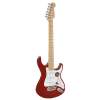 Elektrická gitara Santiago Standard Richwood Master REG-320-RRM - 2