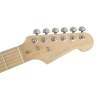 Elektrická gitara Santiago Standard Richwood Master REG-320-SWH - 4