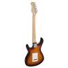 Elektrická gitara Santiago Standard Richwood Master REG-322-3SB - 3