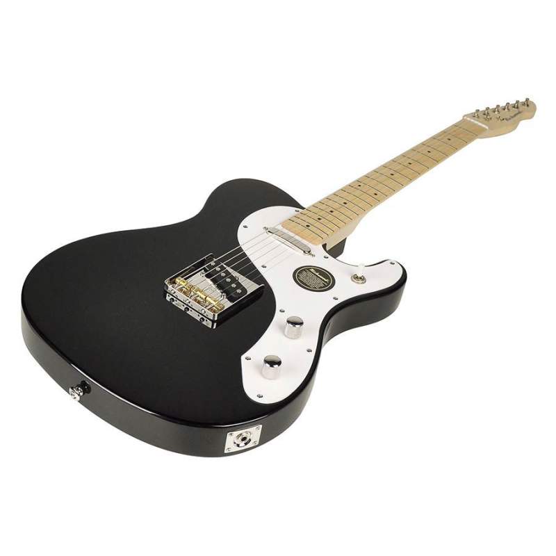Elektrická gitara Buckaroo Standard Richwood Master REG-360-BKS - 1