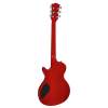 Elektrická gitara Retro Special Richwood Master REG-430-PRD - 3