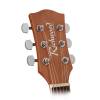 Elektroakustická gitara dreadnought Richwood Artist RD-12-CE - 3