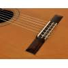 Klasická gitara Esteve Classic 3Z-CD - 5
