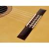 Klasická gitara Esteve Classic 3Z-SP - 5