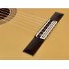 Klasická gitara flamenco Esteve Special Flamenco 5F - 5