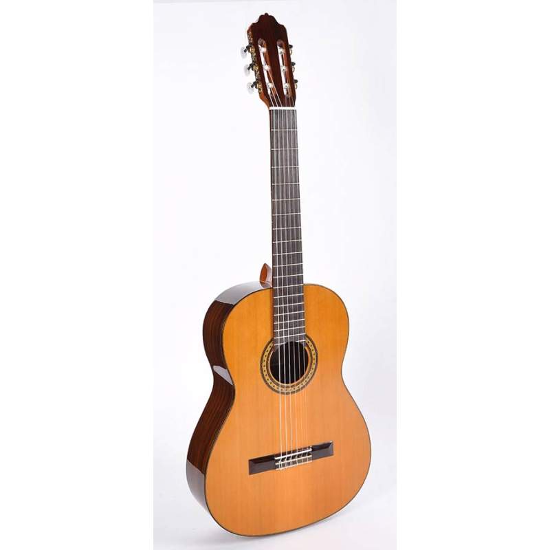 Klasická gitara Esteve Classic 6PS-CD - 1