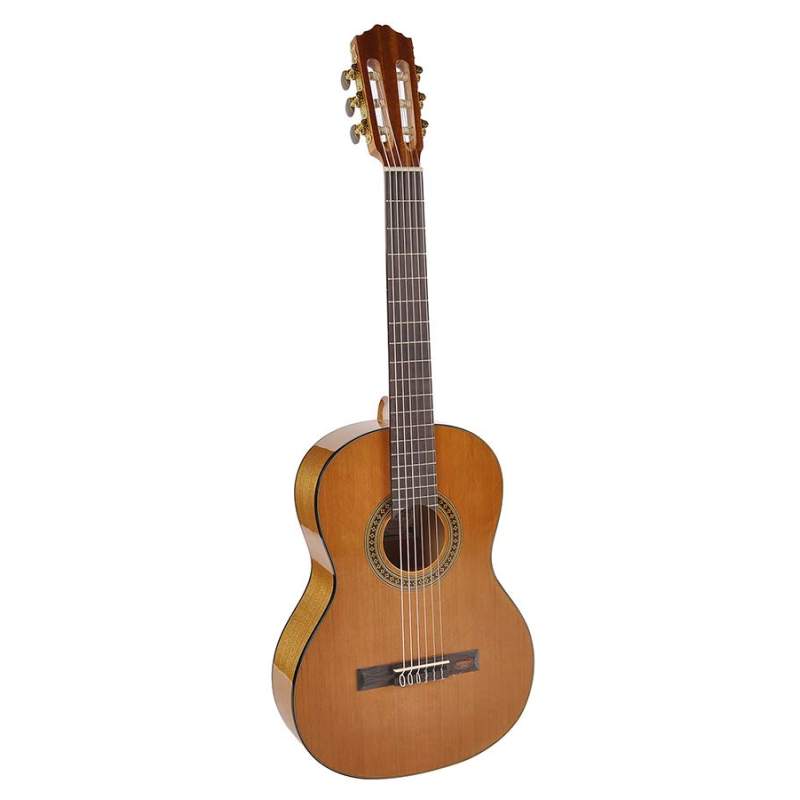 Klasická gitara Salvador Cortez Student CC-08-SN - 1