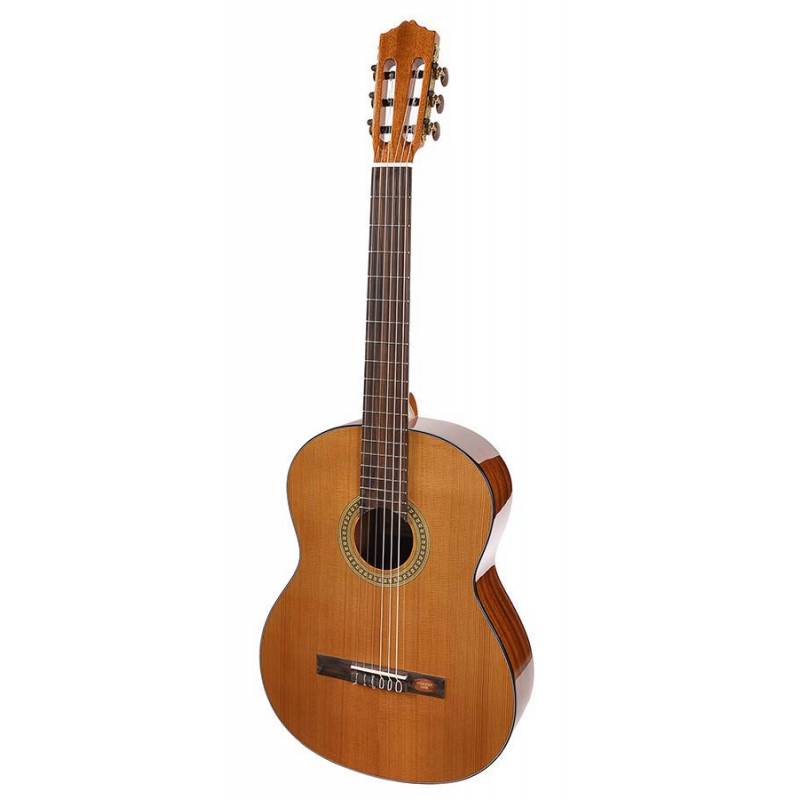 Klasická gitara pre ľavákov Salvador Cortez Student CC-10L - 1