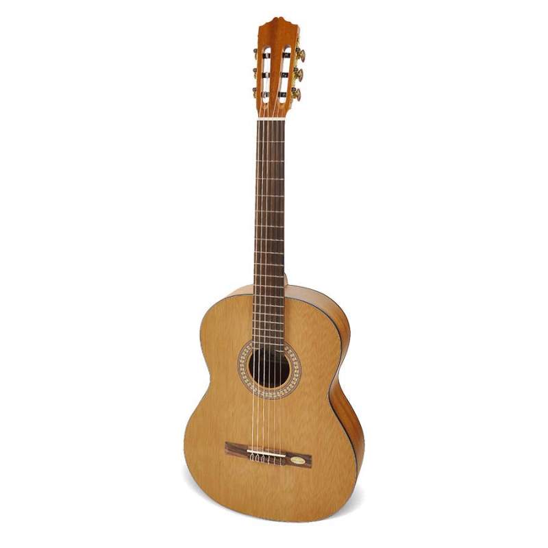 Klasická gitara Salvador Cortez Solid Top Artist CC-20 - 1