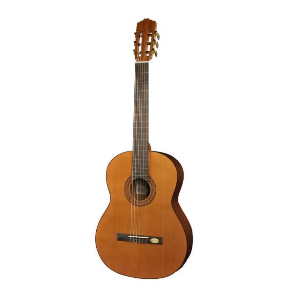 Klasická gitara Salvador Cortez Solid Top Artist CC-22E