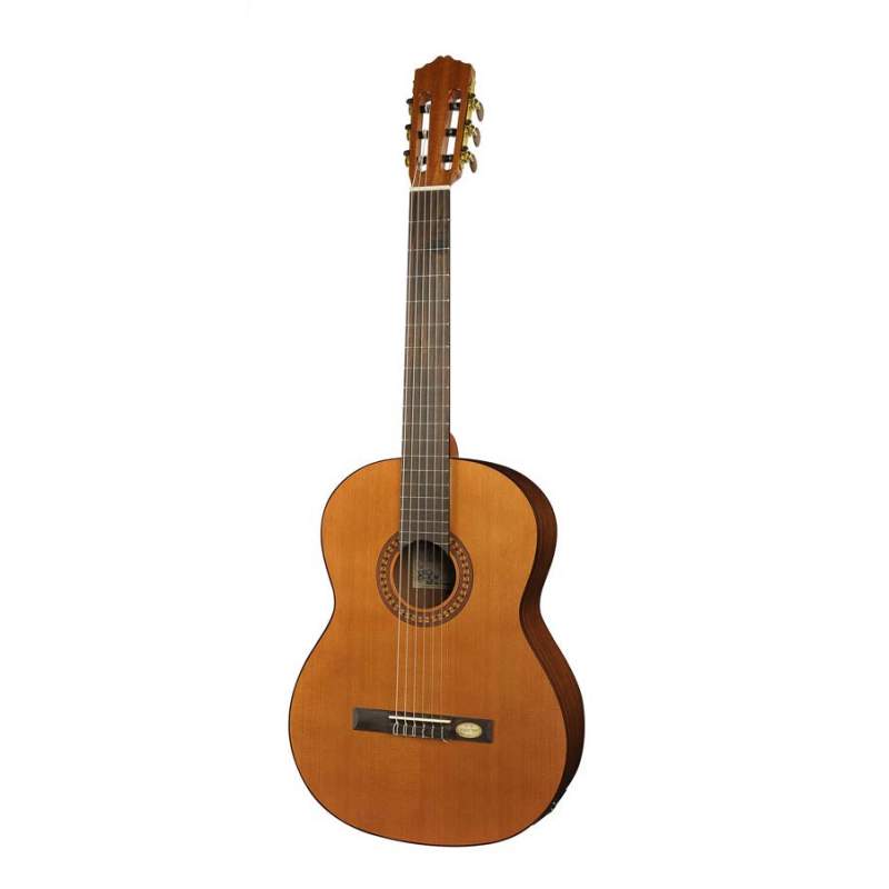 Klasická gitara Salvador Cortez Solid Top Artist CC-22E - 1