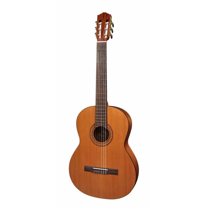 Klasická gitara Salvador Cortez Solid Top Artist CC-22L - 1