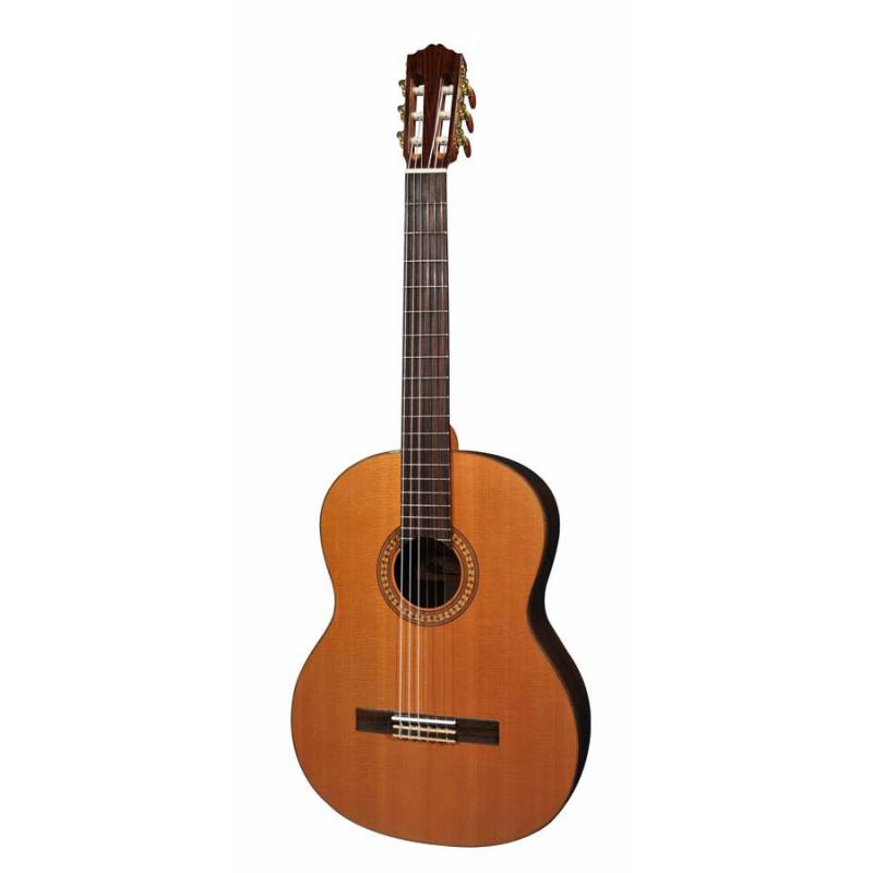 Klasická gitara Salvador Cortez Solid Top Artist CC-50 - 1