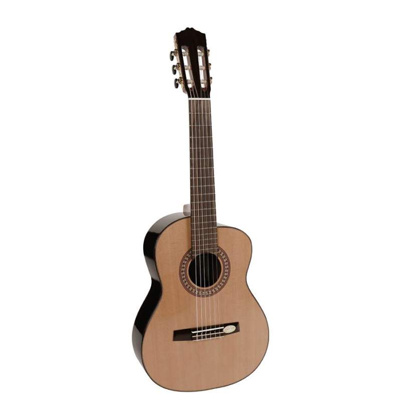 Altová gitara Salvador Cortez Solid Top Concert CC-60-AL - 1