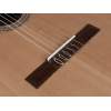 Klasická gitara Esteve Organic Turia-CD - 5